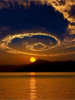 Meet your Posher, Jacqueline